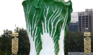 白菜雕塑-公园园林仿真植物景观