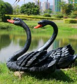 仿真黑天鹅玻璃钢雕塑-公园园林水景装饰动物雕塑