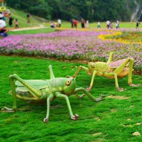 仿真蝗虫蚂蚱草坪草丛动物雕塑摆件