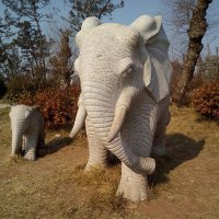 荷花大象石浮雕
