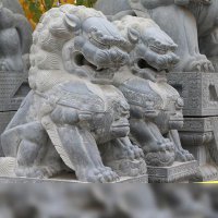 北京故宫的石狮子