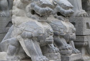 石獅子家門(mén)口的守護(hù)神