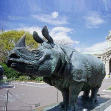 仿真犀牛铜雕-公园园林动物雕塑摆件