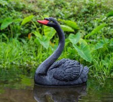 黑天鹅仰脖款-园林水塘水景装饰动物摆件
