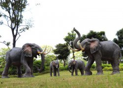 公园大象雕塑