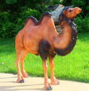 仿真玻璃钢骆驼雕塑