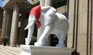 宾馆酒店看门大象汉白玉吉祥动物石雕