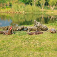 湿地公园仿真鳄鱼雕塑
