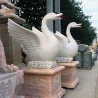 汉白玉天鹅石雕-庭院别墅喷水动物摆件