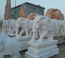 汉白玉大象雕塑1
