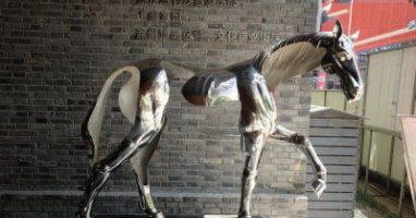 公园不锈钢抽象马雕塑