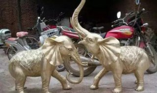 商场大象雕塑-大象水缸石雕塑