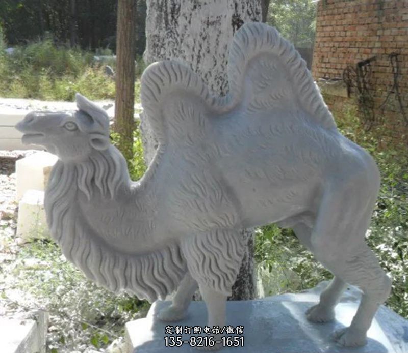 汉白玉动物骆驼石雕图片