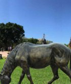 公园低头马玻璃钢仿铜动物雕塑