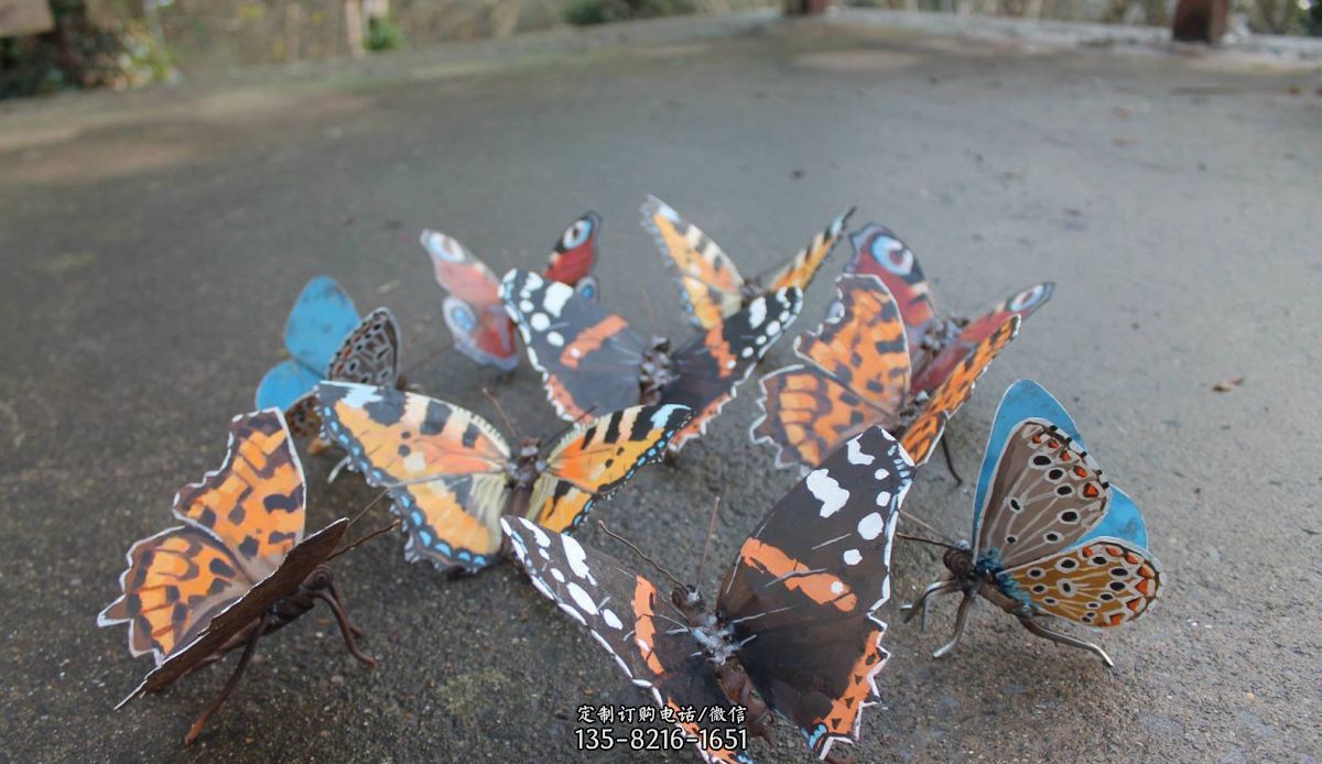 精致的蝴蝶——小区园林不锈钢彩色蝴蝶景观雕塑
