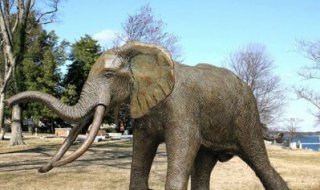 铸铜大象-泰式大象铜雕