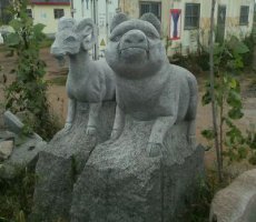 公园十二生肖动物猪石雕