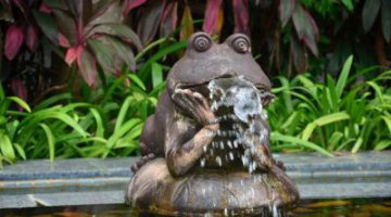 青蛙喷泉铜雕-青蛙铜浮雕