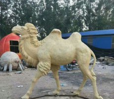 石雕大型骆驼-骆驼雕像