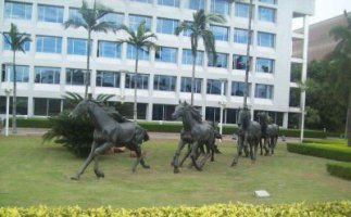 奔跑的马企业景观铜雕