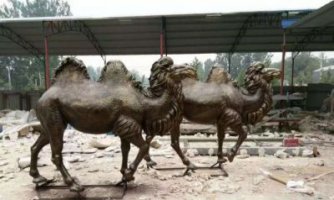 骆驼动物铜雕-骆驼雕像