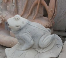 公园动物青蛙景观石雕