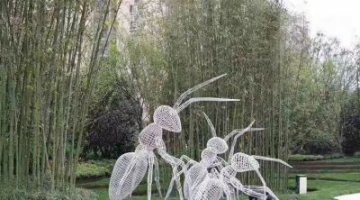 不锈钢艺术动物蚂蚁雕塑