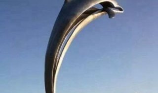 不锈钢景区大型抽象海豚雕塑