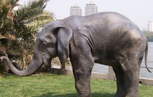 公园大象铜雕塑