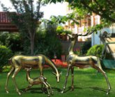 花园景观创意铸铜鹿 