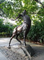 驯鹿动物铜雕-抽象牛铜雕-铸铜生肖动物雕塑摆件
