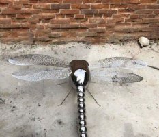 仿真镜面蜻蜓不锈钢雕塑