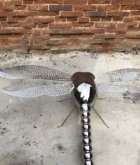 仿真镜面蜻蜓不锈钢雕塑
