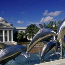 公园不锈钢跳跃海豚雕塑