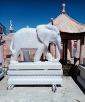 石雕公园动物大象