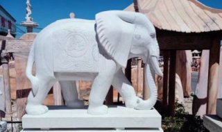 石雕公园动物大象