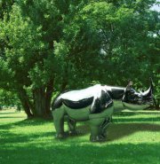 不锈钢园林动物镜面犀牛雕塑