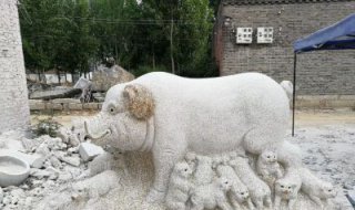 大理石招财小母猪雕塑公园动物雕塑