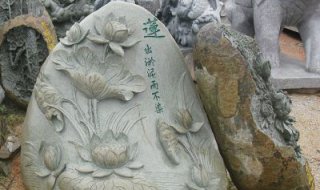 公园莲花浮雕