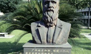科学家达尔文胸像铜雕